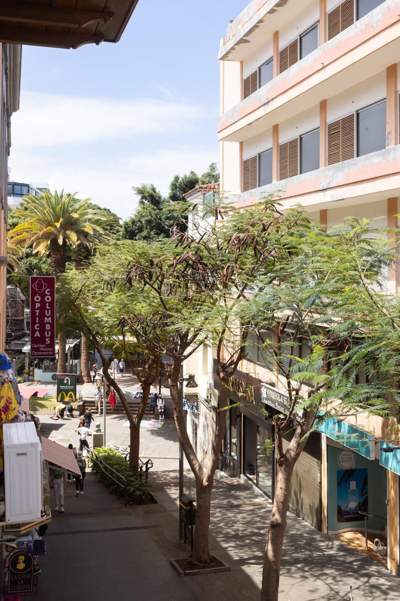 New Bright And Central Home With 2 Bedrooms Puerto de la Cruz  Dış mekan fotoğraf